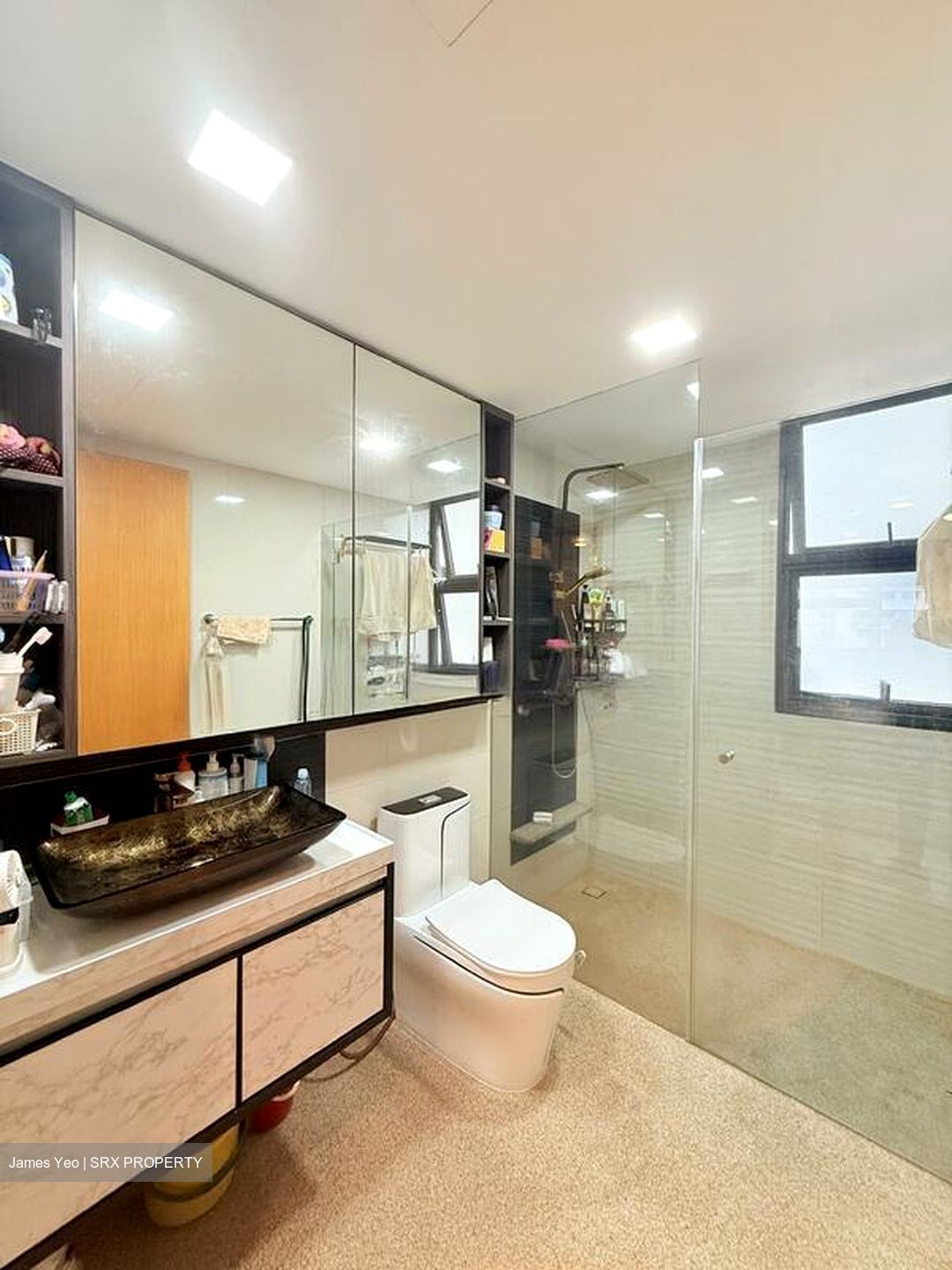 Blossom Residences (D23), Condominium #563473061